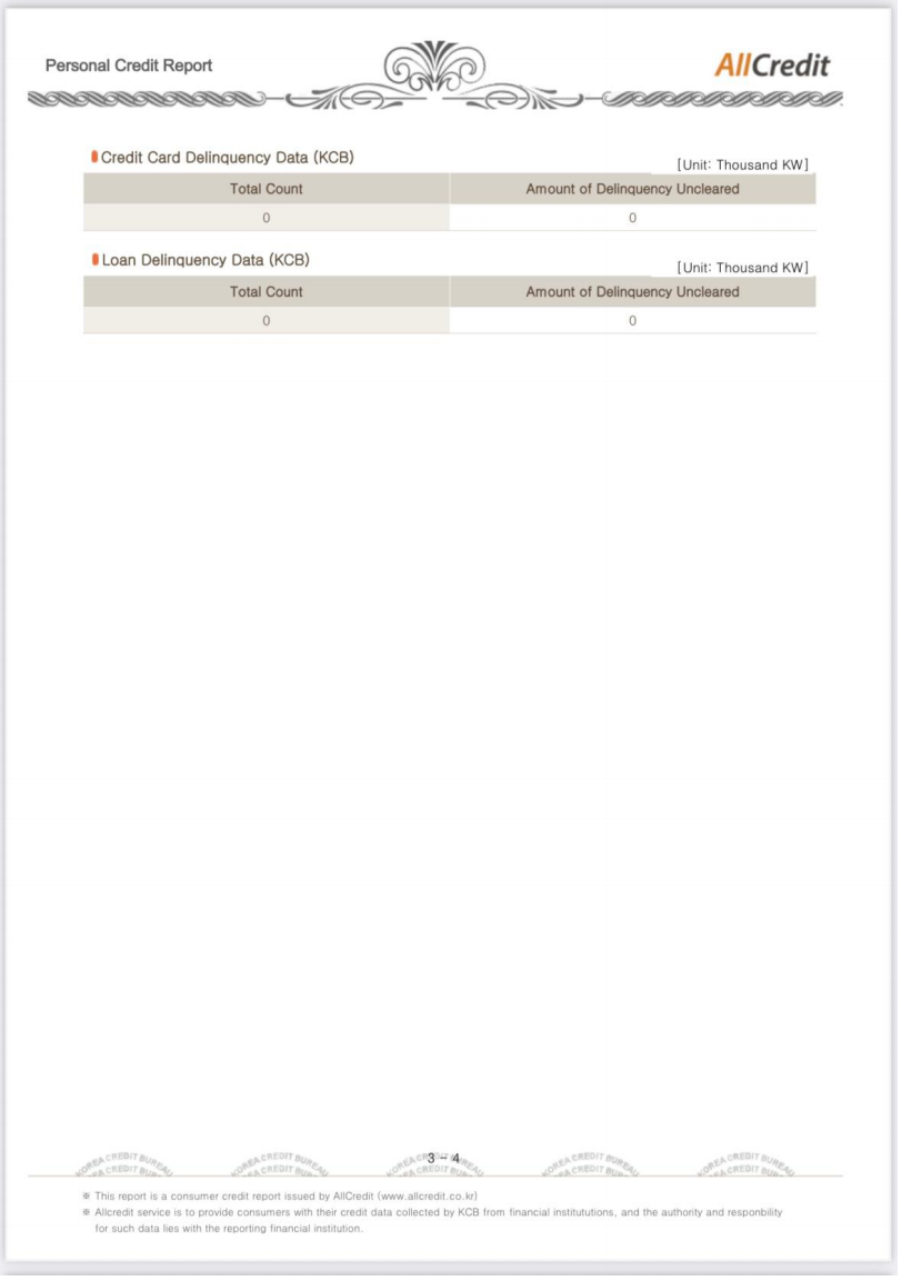 Korean Credit Bureau Report sample page 3