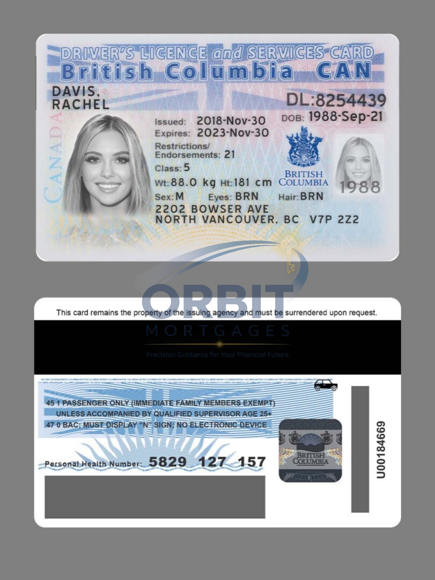 BC Driver’s Licence public specimen sample